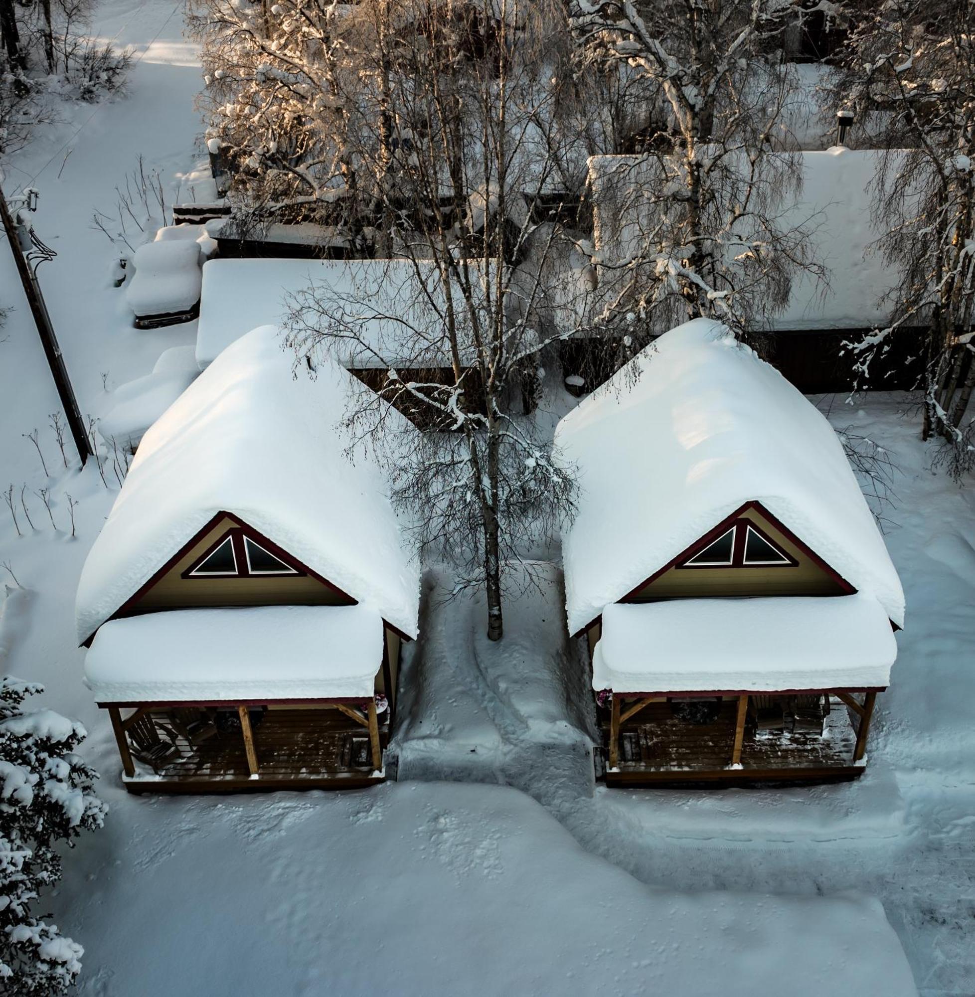 Downtown Talkeetna Cabin! Chulitna Cabin Exterior foto